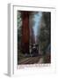 Santa Cruz, California - Big Tree Railroad Station-Lantern Press-Framed Art Print