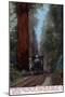 Santa Cruz, California - Big Tree Railroad Station-Lantern Press-Mounted Art Print