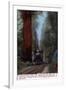 Santa Cruz, California - Big Tree Railroad Station-Lantern Press-Framed Art Print