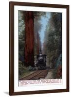 Santa Cruz, California - Big Tree Railroad Station-Lantern Press-Framed Art Print