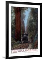 Santa Cruz, California - Big Tree Railroad Station-Lantern Press-Framed Art Print