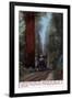 Santa Cruz, California - Big Tree Railroad Station-Lantern Press-Framed Art Print