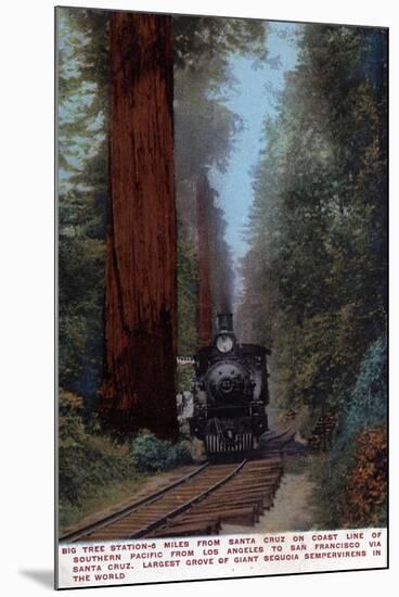 Santa Cruz, California - Big Tree Railroad Station-Lantern Press-Mounted Art Print
