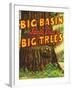 Santa Cruz, California - Big Trees Park, Big Basin Letters-Lantern Press-Framed Art Print