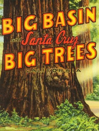 https://imgc.allpostersimages.com/img/posters/santa-cruz-california-big-trees-park-big-basin-letters_u-L-Q1I1GDE0.jpg?artPerspective=n