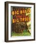 Santa Cruz, California - Big Trees Park, Big Basin Letters-Lantern Press-Framed Art Print