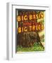 Santa Cruz, California - Big Trees Park, Big Basin Letters-Lantern Press-Framed Art Print