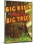 Santa Cruz, California - Big Trees Park, Big Basin Letters-Lantern Press-Mounted Art Print