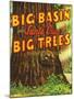 Santa Cruz, California - Big Trees Park, Big Basin Letters-Lantern Press-Mounted Art Print