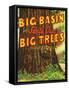 Santa Cruz, California - Big Trees Park, Big Basin Letters-Lantern Press-Framed Stretched Canvas