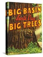 Santa Cruz, California - Big Trees Park, Big Basin Letters-Lantern Press-Stretched Canvas