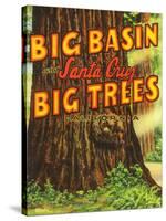 Santa Cruz, California - Big Trees Park, Big Basin Letters-Lantern Press-Stretched Canvas