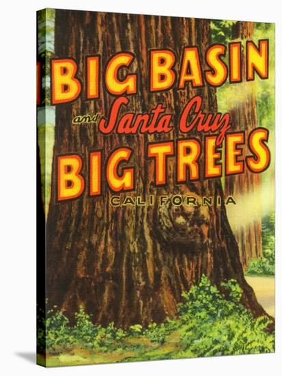 Santa Cruz, California - Big Trees Park, Big Basin Letters-Lantern Press-Stretched Canvas