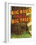 Santa Cruz, California - Big Trees Park, Big Basin Letters-Lantern Press-Framed Art Print