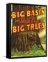 Santa Cruz, California - Big Trees Park, Big Basin Letters-Lantern Press-Framed Stretched Canvas