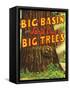 Santa Cruz, California - Big Trees Park, Big Basin Letters-Lantern Press-Framed Stretched Canvas