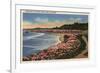 Santa Cruz, California - Cliff Drive View of Ocean, Beach, & Flowers-Lantern Press-Framed Premium Giclee Print