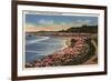 Santa Cruz, California - Cliff Drive View of Ocean, Beach, & Flowers-Lantern Press-Framed Premium Giclee Print
