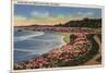 Santa Cruz, California - Cliff Drive View of Ocean, Beach, & Flowers-Lantern Press-Mounted Premium Giclee Print