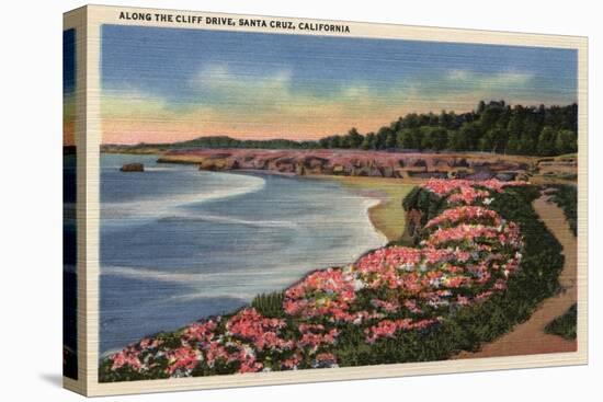 Santa Cruz, California - Cliff Drive View of Ocean, Beach, & Flowers-Lantern Press-Stretched Canvas