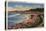 Santa Cruz, California - Cliff Drive View of Ocean, Beach, & Flowers-Lantern Press-Stretched Canvas