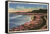 Santa Cruz, California - Cliff Drive View of Ocean, Beach, & Flowers-Lantern Press-Framed Stretched Canvas