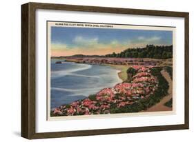 Santa Cruz, California - Cliff Drive View of Ocean, Beach, & Flowers-Lantern Press-Framed Art Print