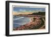 Santa Cruz, California - Cliff Drive View of Ocean, Beach, & Flowers-Lantern Press-Framed Art Print