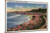 Santa Cruz, California - Cliff Drive View of Ocean, Beach, & Flowers-Lantern Press-Mounted Art Print