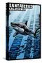 Santa Cruz, California - Great White Shark - Scratchboard-Lantern Press-Stretched Canvas