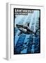 Santa Cruz, California - Great White Shark - Scratchboard-Lantern Press-Framed Art Print