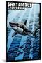 Santa Cruz, California - Great White Shark - Scratchboard-Lantern Press-Mounted Art Print