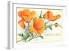 Santa Cruz, California Poppies, California-null-Framed Art Print