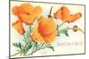 Santa Cruz, California Poppies, California-null-Mounted Art Print