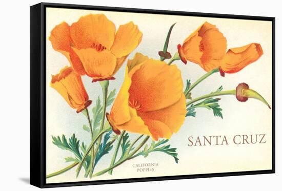 Santa Cruz, California Poppies, California-null-Framed Stretched Canvas