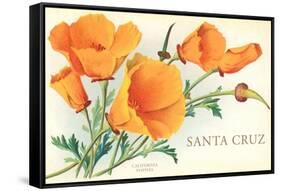 Santa Cruz, California Poppies, California-null-Framed Stretched Canvas