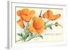 Santa Cruz, California Poppies, California-null-Framed Art Print