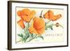 Santa Cruz, California Poppies, California-null-Framed Art Print