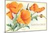 Santa Cruz, California Poppies, California-null-Mounted Art Print