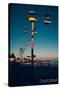 Santa Cruz, California - Sky Gliders at Night-Lantern Press-Stretched Canvas