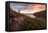 Santa Cruz, Channel Islands NP, CA, USA: Male Hiker On The Trail Above The Scorpion Beach, Sunrise-Axel Brunst-Framed Stretched Canvas