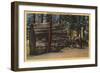 Santa Cruz County, CA - Calaveras Big Trees State Park-Lantern Press-Framed Art Print