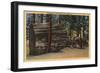 Santa Cruz County, CA - Calaveras Big Trees State Park-Lantern Press-Framed Art Print