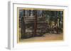Santa Cruz County, CA - Calaveras Big Trees State Park-Lantern Press-Framed Art Print