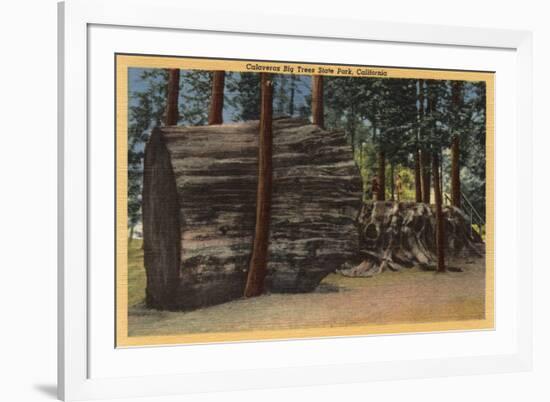 Santa Cruz County, CA - Calaveras Big Trees State Park-Lantern Press-Framed Art Print