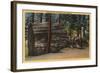 Santa Cruz County, CA - Calaveras Big Trees State Park-Lantern Press-Framed Art Print