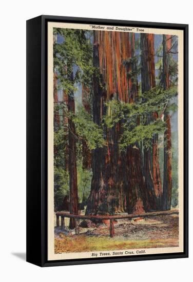 Santa Cruz County, CA - "Mother" & "Daughter" at Big Trees Park-Lantern Press-Framed Stretched Canvas