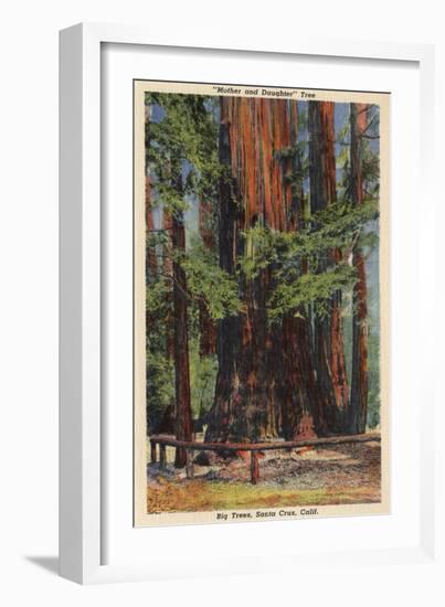 Santa Cruz County, CA - "Mother" & "Daughter" at Big Trees Park-Lantern Press-Framed Art Print