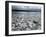 Santa Cruz Island, Galapagos Islands, Ecuador-null-Framed Photographic Print