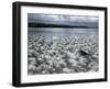 Santa Cruz Island, Galapagos Islands, Ecuador-null-Framed Photographic Print